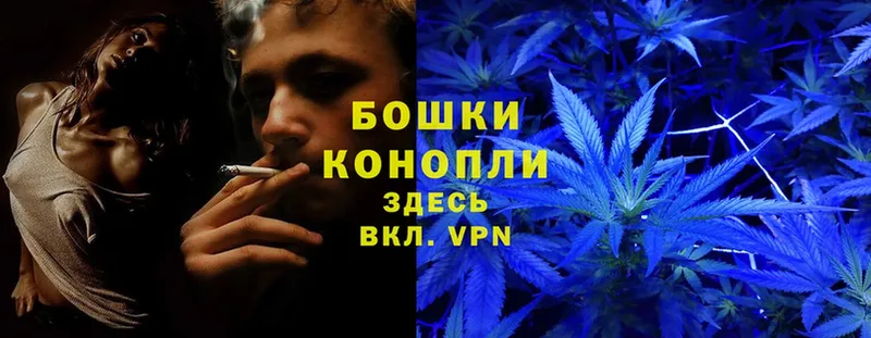 Каннабис White Widow  ОМГ ОМГ как зайти  Михайловск 